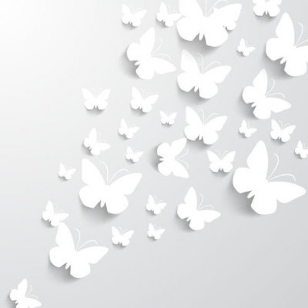 paper-butterfly-silhouette-pack_72147488647.jpg